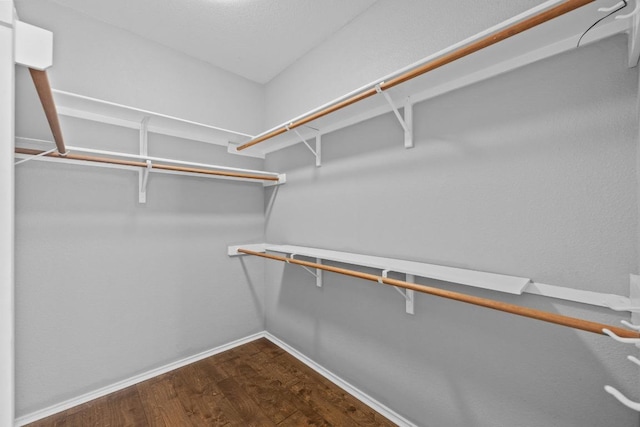 spacious closet featuring dark wood finished floors