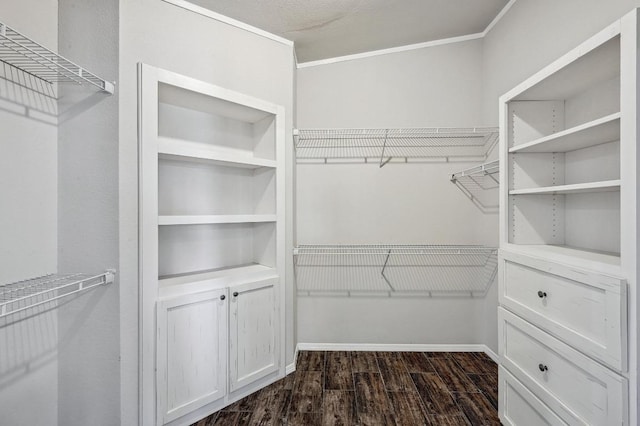 spacious closet with dark wood-type flooring