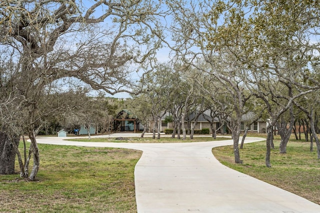 view of property's community with curved driveway and a yard