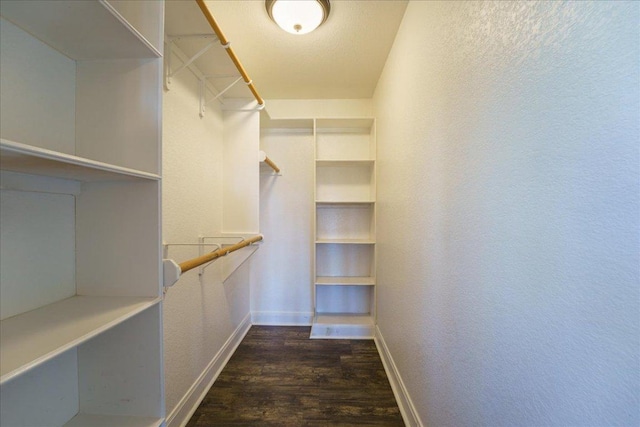 walk in closet featuring dark wood-style floors