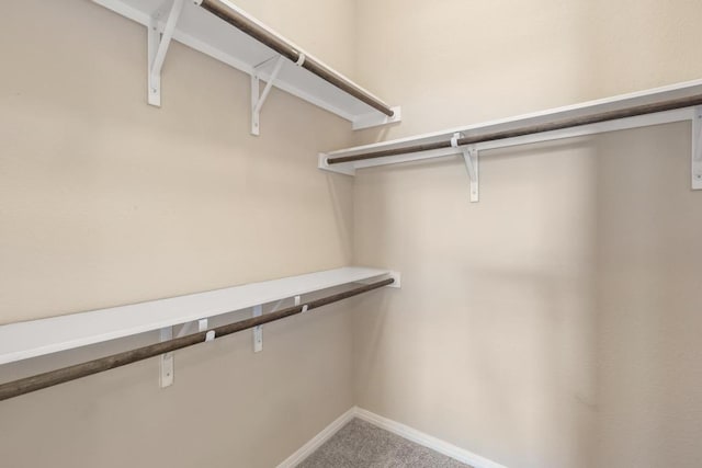 114 Darst Ln, Bastrop, TX 78602 - spacious closet featuring carpet floors