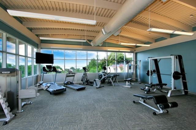 exercise room with carpet flooring