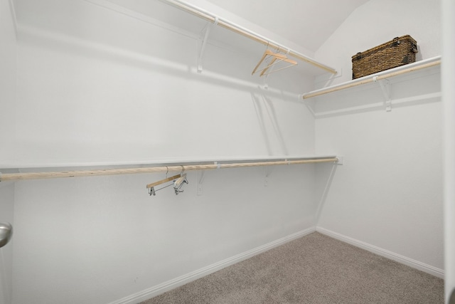 spacious closet featuring carpet flooring