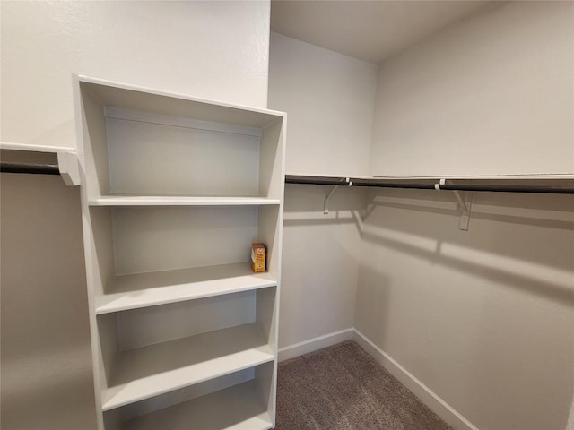 spacious closet featuring carpet floors