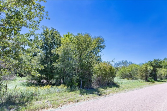 Listing photo 3 for 4450 W Old Lockhart Rd, Muldoon TX 78949