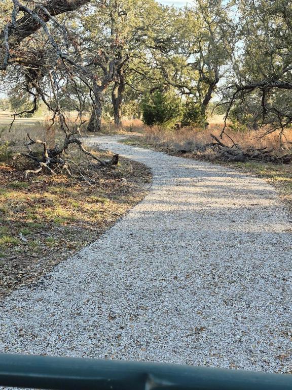 view of yard with gravel driveway