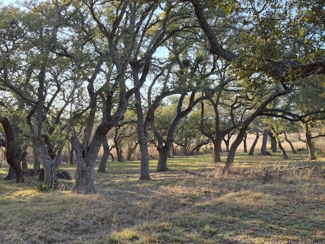 view of nature