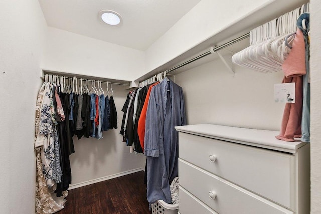 walk in closet featuring wood finished floors