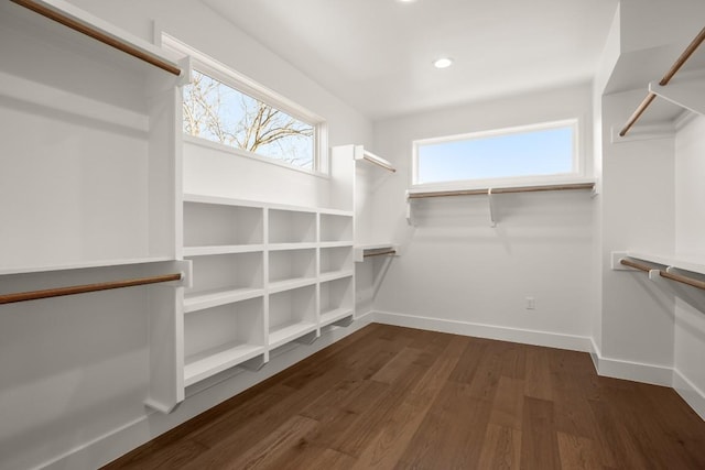 walk in closet with dark wood-style flooring