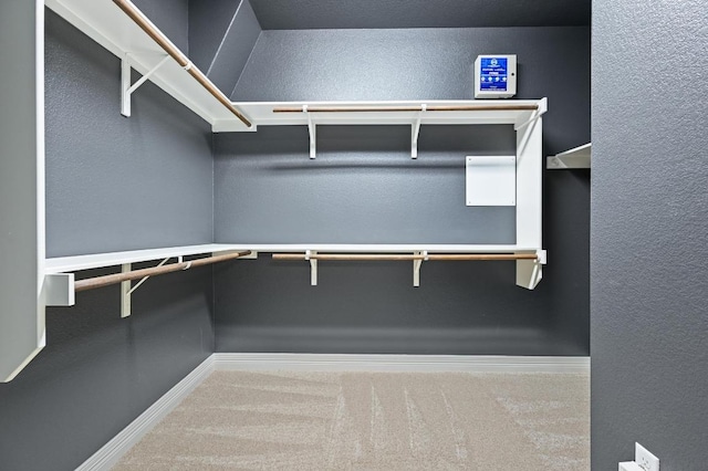 spacious closet with carpet flooring