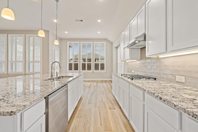 kitchen with tasteful backsplash, light wood-style flooring, appliances with stainless steel finishes, a sink, and ventilation hood