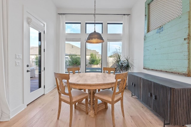 dining room with light wood-style flooring, radiator heating unit, and plenty of natural light