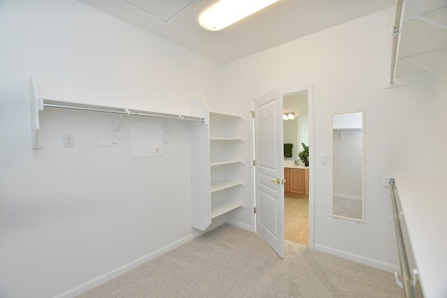 spacious closet with light carpet