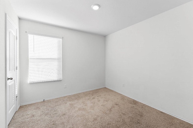 spare room featuring carpet