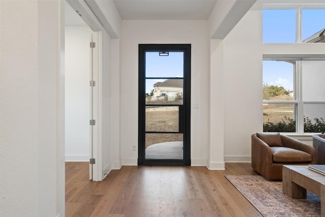 foyer entrance with baseboards and wood finished floors