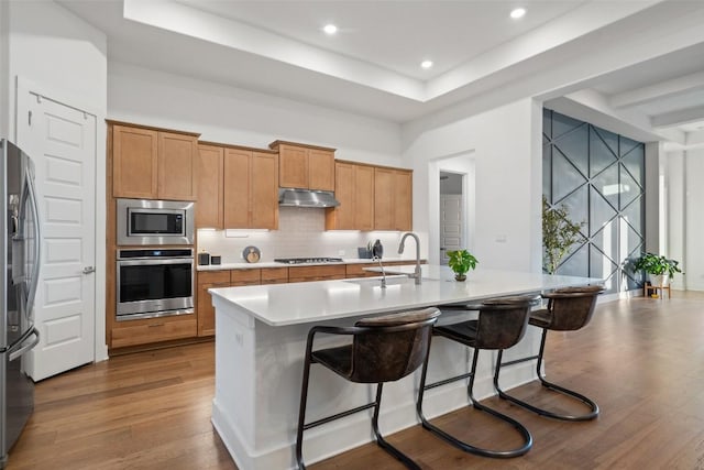 kitchen with a raised ceiling, wood finished floors, stainless steel appliances, under cabinet range hood, and a sink