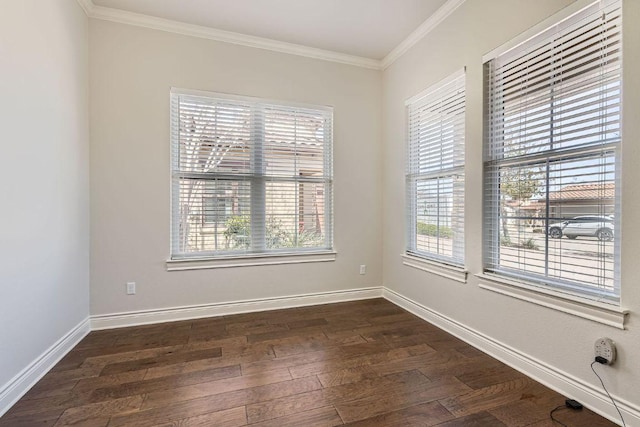304 Belforte Ave, Austin, TX 78734 - spare room with crown molding, plenty of natural light, dark wood-style flooring, and baseboards