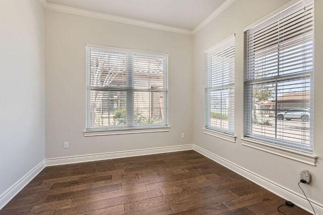 304 Belforte Ave, Austin, TX 78734 - spare room with crown molding, plenty of natural light, dark wood-style flooring, and baseboards