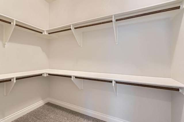 304 Belforte Ave, Austin, TX 78734 - spacious closet featuring carpet floors