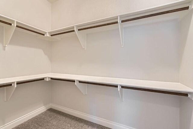 304 Belforte Ave, Austin, TX 78734 - spacious closet featuring carpet floors