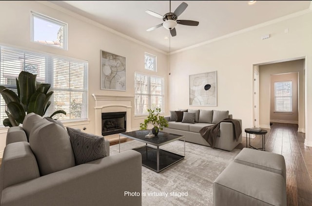 304 Belforte Ave, Austin, TX 78734 - living area featuring a ceiling fan, hardwood / wood-style floors, crown molding, a fireplace with raised hearth, and baseboards