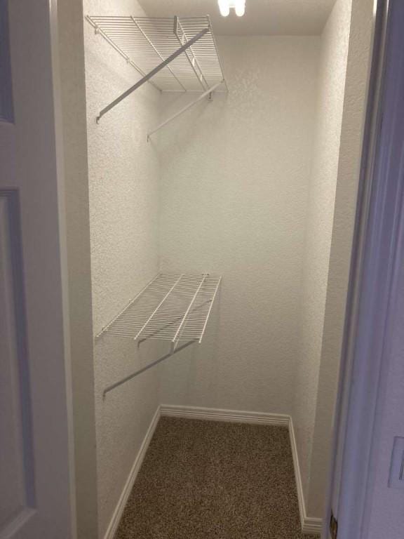 walk in closet with carpet floors