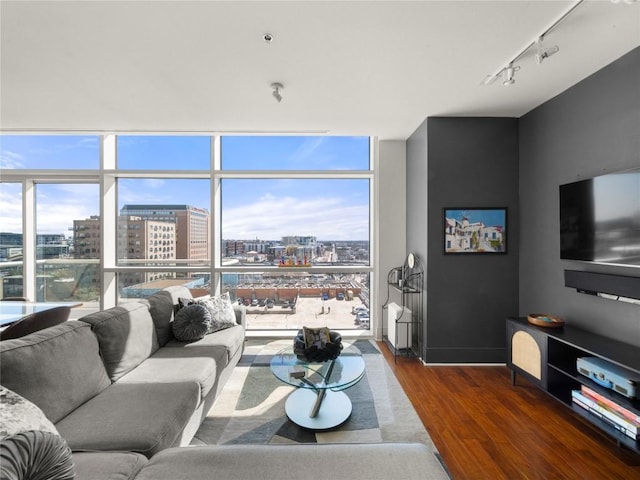 living area featuring a view of city, wood finished floors, a wealth of natural light, and floor to ceiling windows