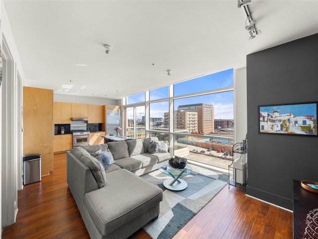 living area featuring baseboards, dark wood-type flooring, a view of city, a wall of windows, and track lighting