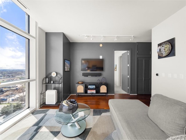 living area featuring rail lighting, expansive windows, a wealth of natural light, and wood finished floors