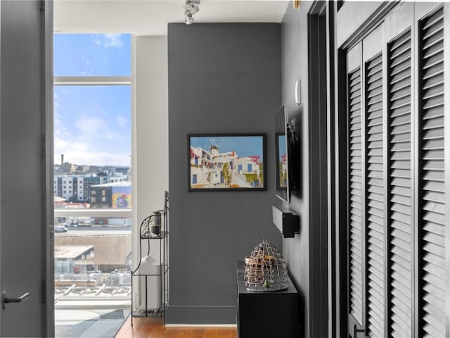 room details with a view of city, wood finished floors, and baseboards