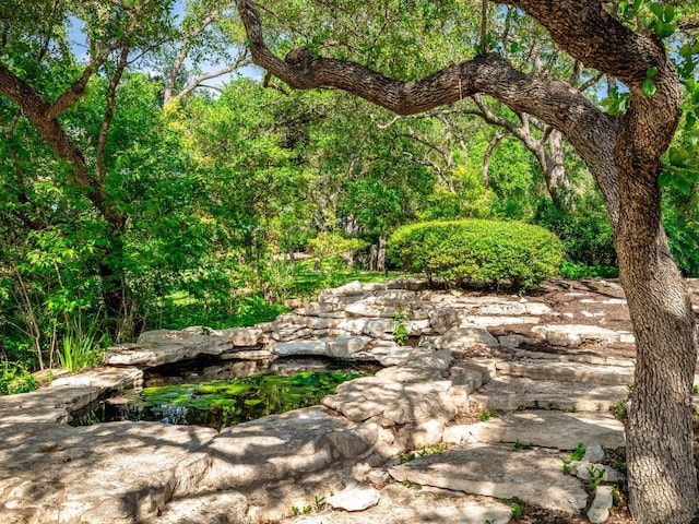 view of local wilderness