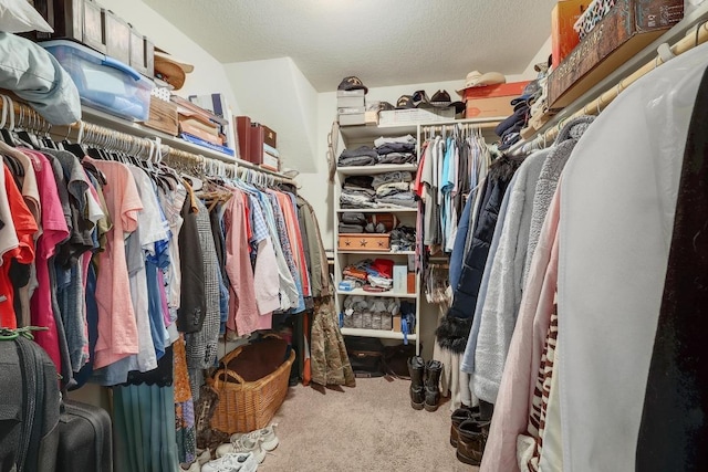 walk in closet featuring carpet floors