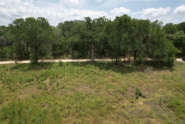 175 Coastal Ln, Luling, TX 78648 - photo 4