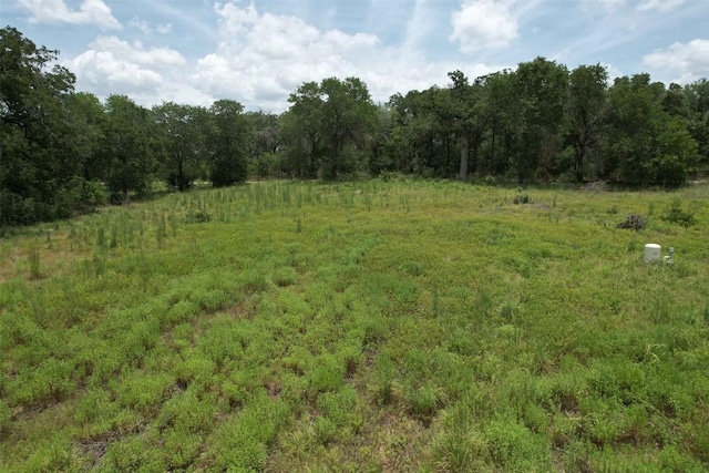 175 Coastal Ln, Luling, TX 78648 - photo 5