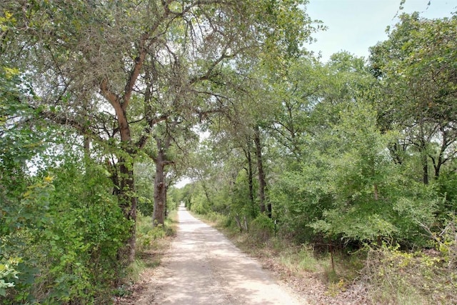 175 Coastal Ln, Luling, TX 78648 - photo 6
