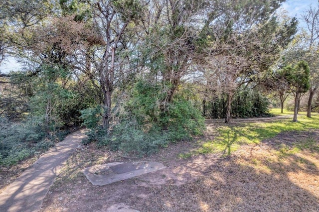 10300 Morado Cv Unit 503, Austin, TX 78759 - photo 31