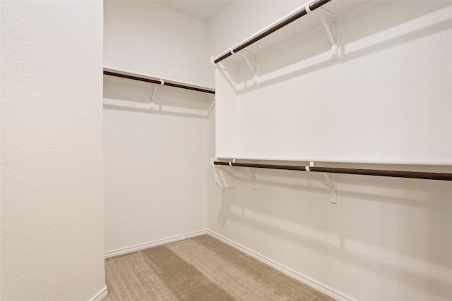 walk in closet with light colored carpet