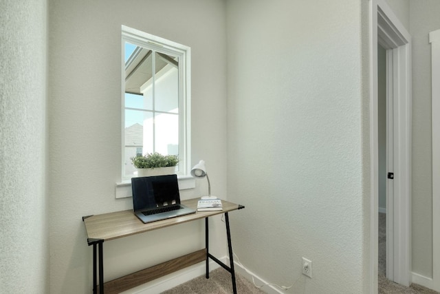 interior space featuring carpet floors, baseboards, and a textured wall