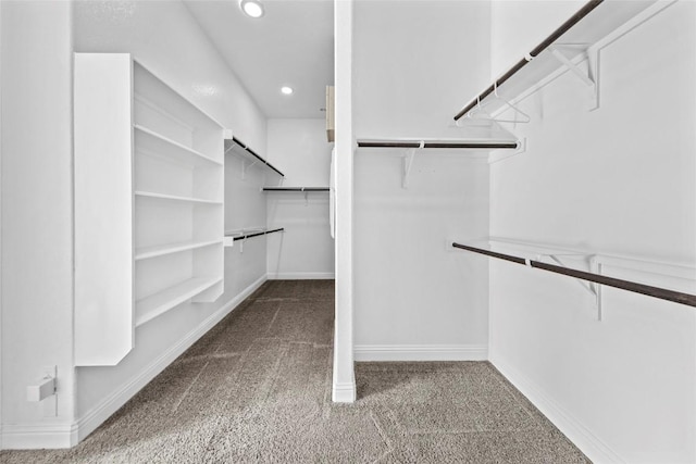 spacious closet featuring carpet floors