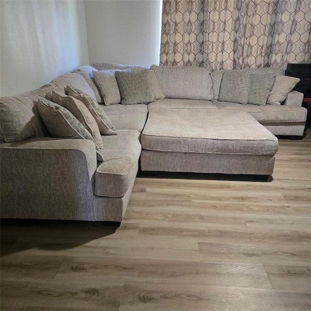 living room featuring wood finished floors