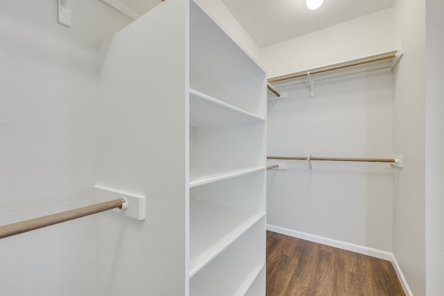 walk in closet featuring wood finished floors