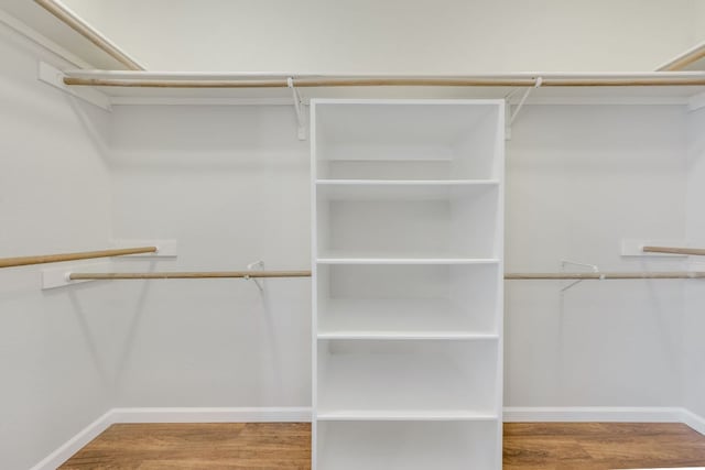 walk in closet featuring wood finished floors