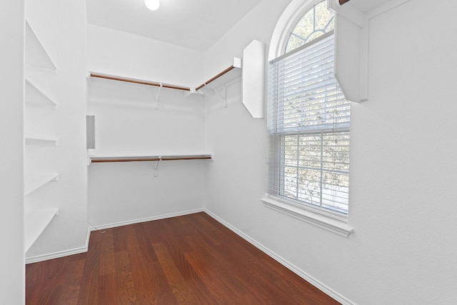 walk in closet featuring wood finished floors