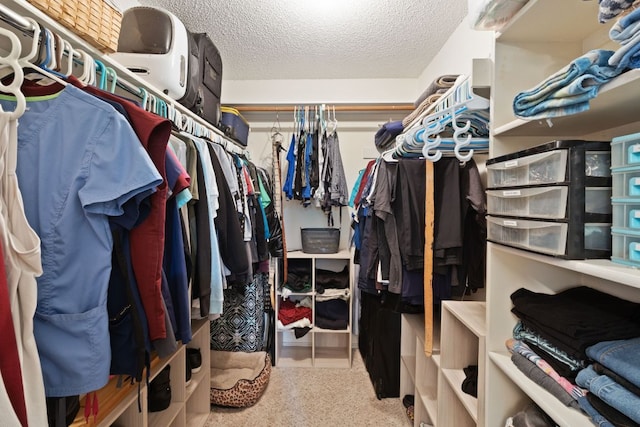 walk in closet featuring carpet flooring