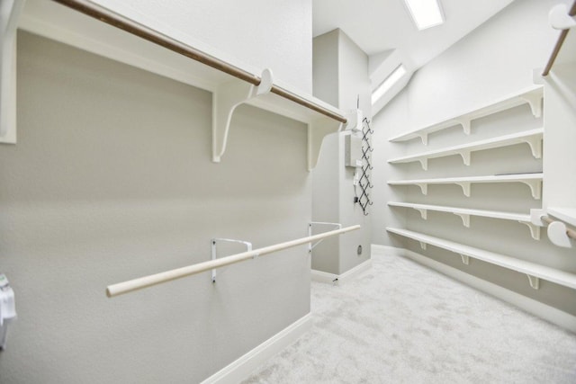 spacious closet featuring carpet flooring