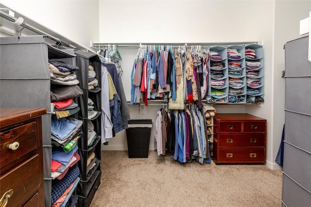 spacious closet with carpet flooring