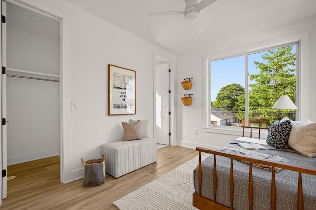 1912 Madison Ave, Austin, TX 78757 - bedroom featuring multiple windows, baseboards, light wood-style flooring, and ceiling fan