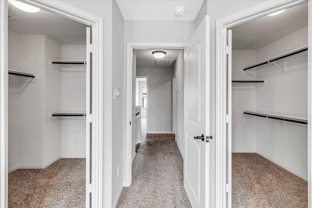 walk in closet with carpet floors