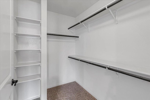 spacious closet featuring carpet floors