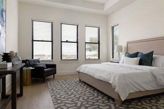 116 Azalea Loop, Horseshoe Bay, TX 78657 - bedroom featuring multiple windows, wood finished floors, and baseboards